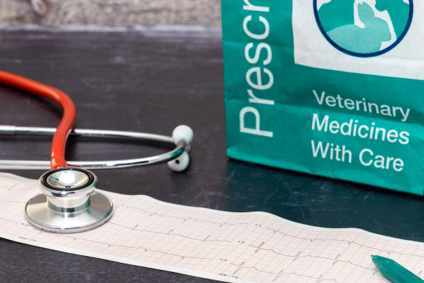 istock Veterinarian clinic 1138921807