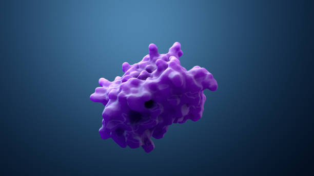 proteína ou enzima da ilustração 3d - immune cell - fotografias e filmes do acervo
