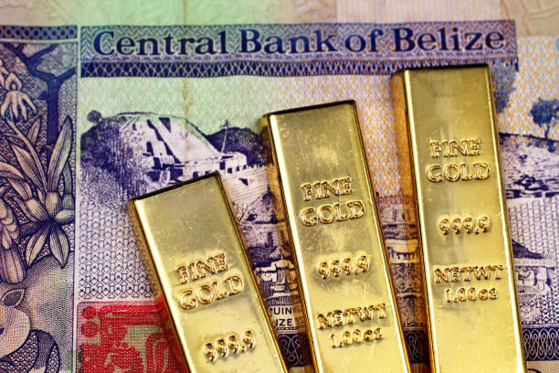dwudolarowy banknot od belize z trzema małymi sztabkami złota - out numbered zdjęcia i obrazy z banku zdjęć