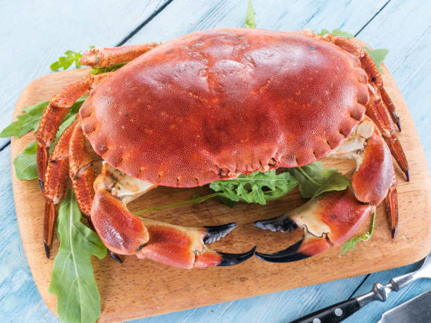istock Cooked brown crab or edible crab. 1138925340