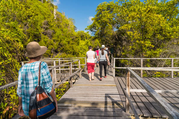 istock Small group of people on elevated walkway in tropical forest 1138925420