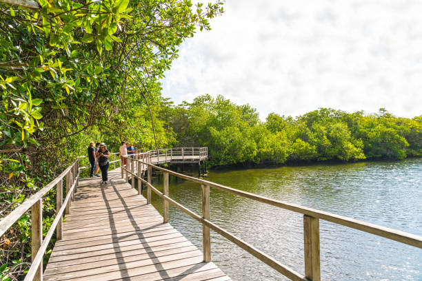 istock Small group of people on elevated walkway in tropical forest 1138925605
