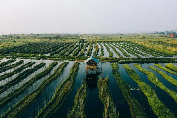 Scenic aerial view of floating gardens on Inle Lake in Myanmar