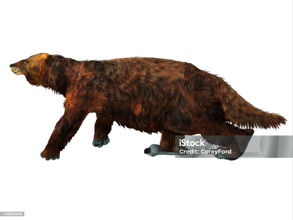 Megatherium 느림보 걷기 메가테리움에 대한 스톡 사진 및 기타 이미지 - 메가테리움, 갈고리 발톱, 걷기 - Istock