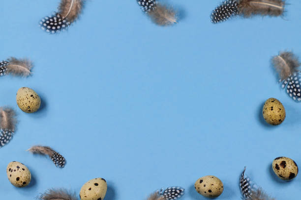 istock Easter background with quail eggs and guinea fowl feathers on a blue background. 1138935742