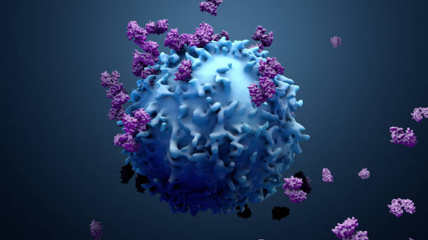 3d illustration proteine mit lymphozyten, t zellen oder krebszellen - krebs tumor stock-fotos und bilder