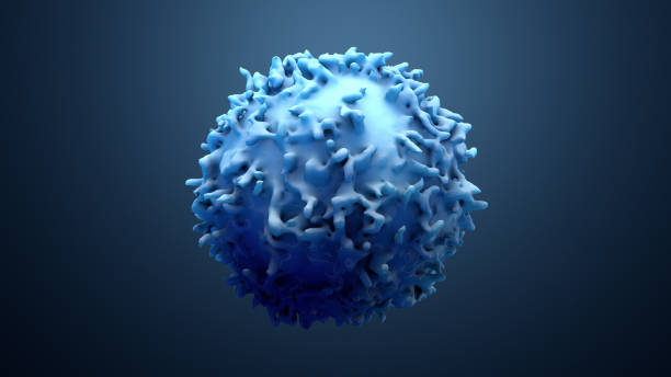 istock 3d illustration lymphocytes, t cells or cancer cells 1138937327