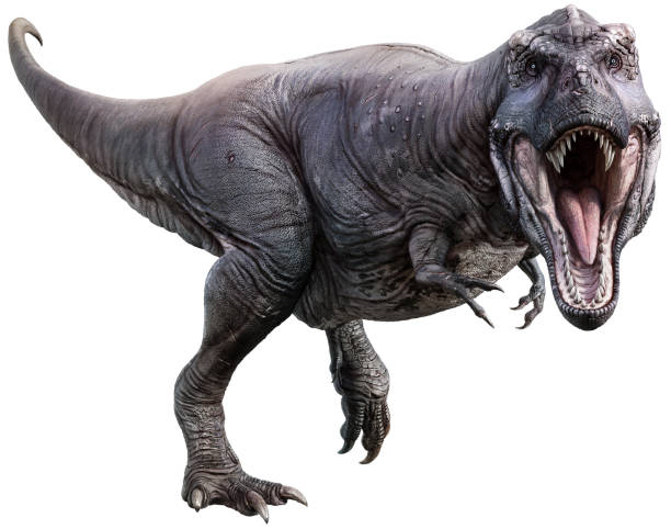 Tyrannosaurus 3D illustration stock photo