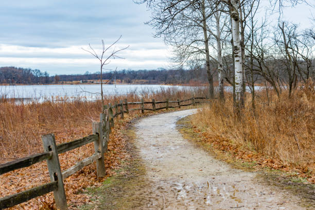 istock Curved Path next to a Pond in a Forest during Winter at Suburban Willow Springs Illinois 1138942213
