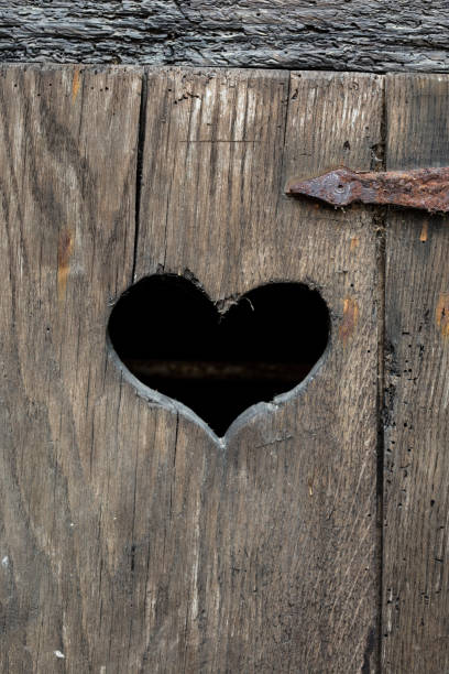 istock Heart shape on an old door 1138943455
