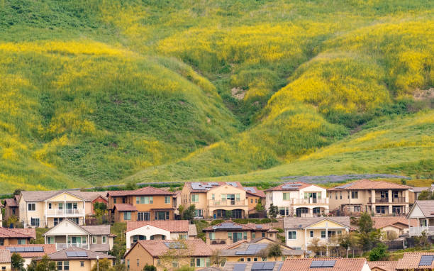 istock Wildflowers Encroach On Homes 1138946860