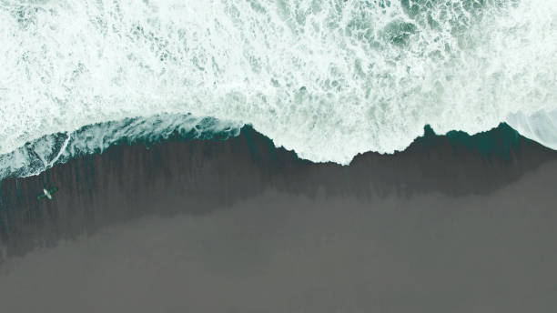 istock Aerial view on black sand beach 1138947097