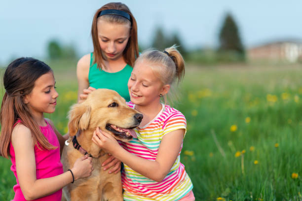 istock Little girls playing with their dog 1138947202