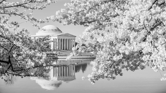 Jefferson Memorial during the Cherry Blossom Festival in Washington, DC, United States