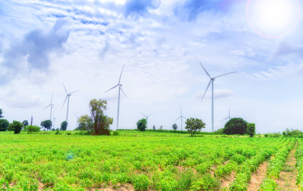 istock Wind generators turbines electricity and agricultural fields on a summer day with blue sky. Windmills energy production with clean and renewable energy .Energy wind farm conservation concept 1138947617