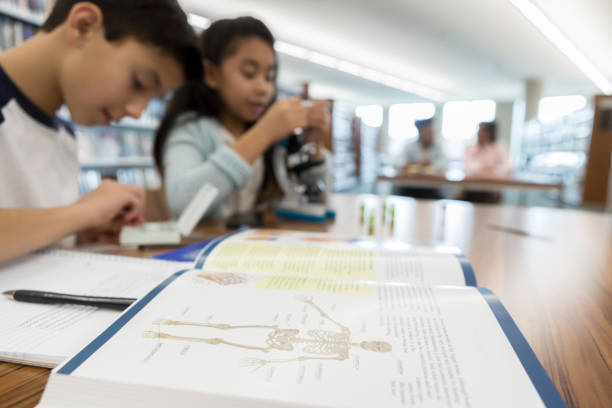 istock Close up of anatomy textbook 1138949956
