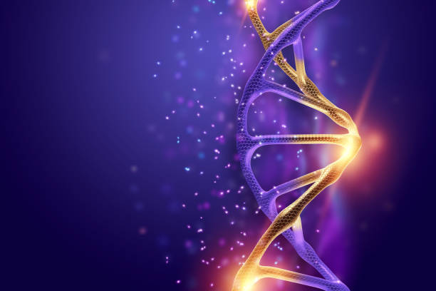 istock Creative background, dna structure, golden DNA molecule on violet background, ultraviolet. 3d render, 3d illustration. The concept of medicine, research, experiments, experiment, virus, disease. 1138952951