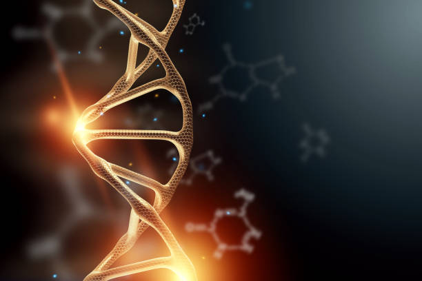 istock Creative background, dna structure, golden DNA molecule on gray background, ultraviolet. 3d render, 3d illustration. The concept of medicine, research, experiments, experiment, virus, disease. 1138952952