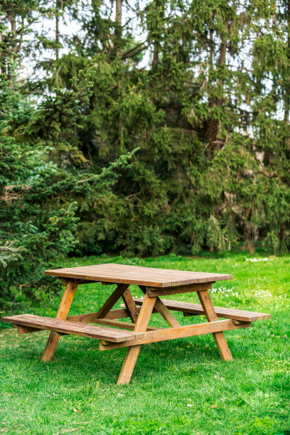 istock Wooden picnic table and bench in garden 1138952969