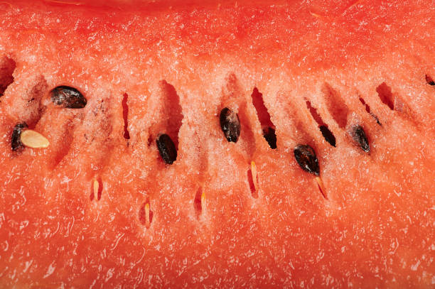 istock Texture of watermelon slice 1138957945