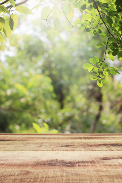 istock Empty wooden and blurred green nature garden background. 1138958885