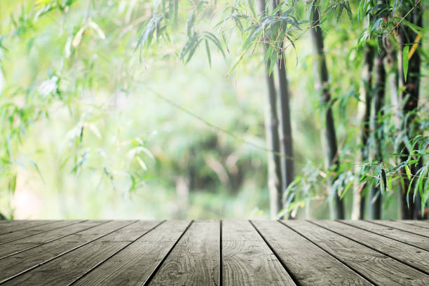 istock Empty wooden and blurred nature bamboo forest background. 1138959814