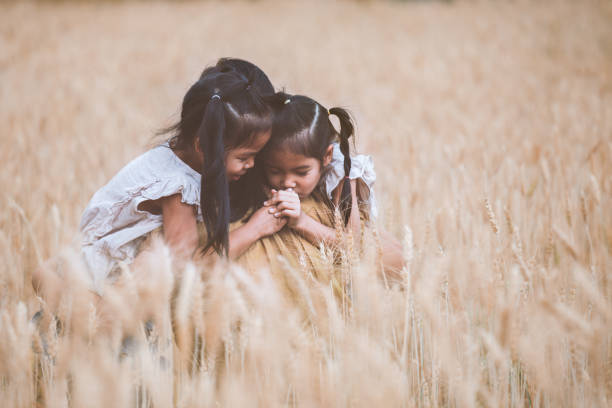 meninas asiáticas felizes da criança que abraçam sua matriz e que têm o divertimento para jogar com a matriz no campo da cevada - oat farm grass barley - fotografias e filmes do acervo