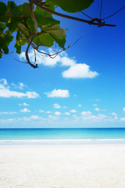 istock Beautiful tropical beach background, Summer. 1138960485