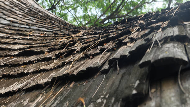 istock Abstract background, traditional bamboo roof tile 1138962297