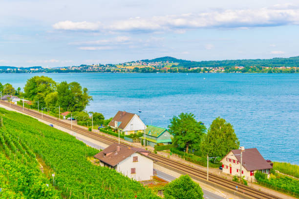 Vineyards surrounding Bielersee in Switzerland