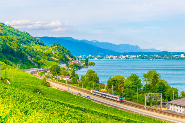 istock Vineyards surrounding Bielersee in Switzerland 1138965375