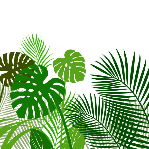 bildbanksillustrationer, clip art samt tecknat material och ikoner med bakgrunds material av tropiska växter - japansk paradis ö