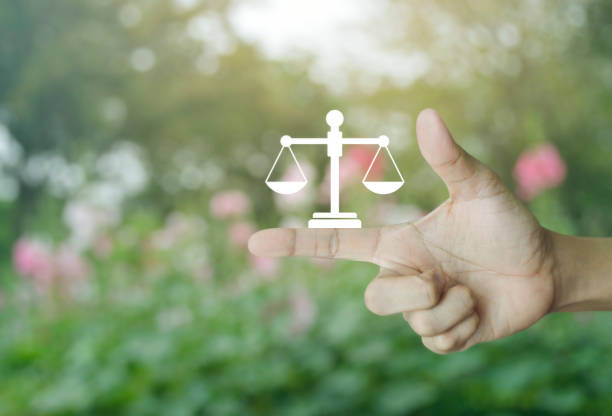 Business legal service concept