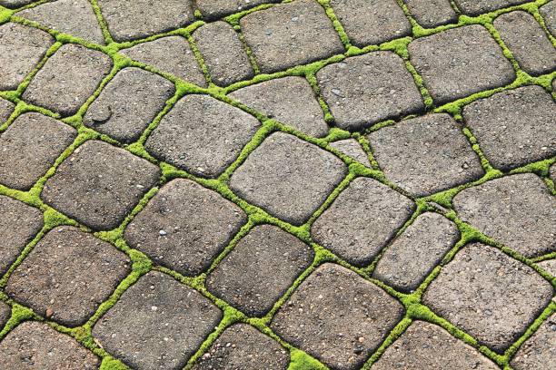 Paving stones with colorful moss between create a colorful abstract mosaic pattern on a sunny day