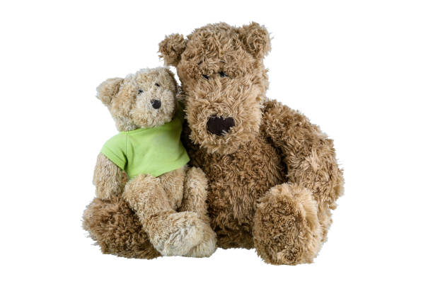 istock bear baby doll sitting on mother bear doll and hugging each other showing love and concern in the family 1138988607