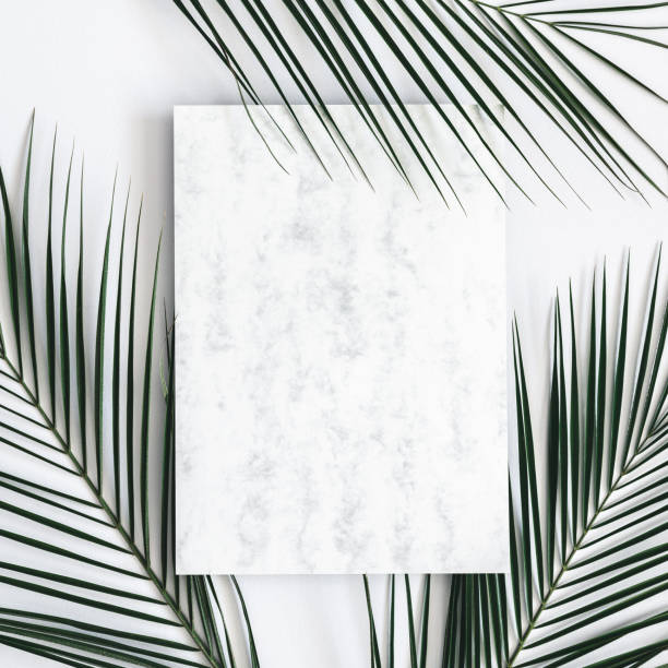 istock Summer composition. Tropical palm leaves, marble paper blank on pastel gray background. Summer minimal concept. Flat lay, top view, copy space, square 1138995549