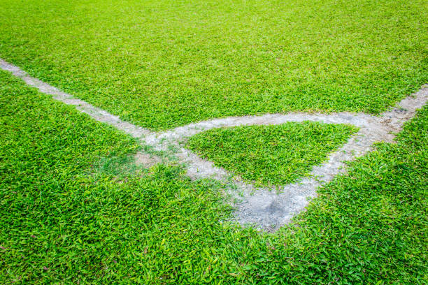 istock Corner of the soccer field 1138998866