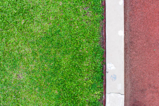 istock Running track from top view with patch of lawn on the left 1139000123