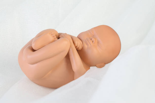 World Prematurity Day on 17th November. Woman hand with a baby doll . Motherhood and care