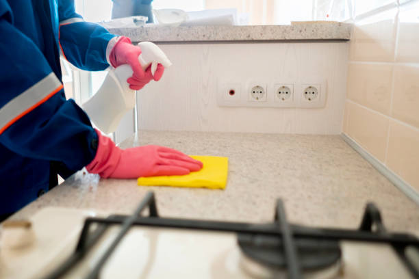 istock house kitchen cleaning service staff working and clean surface f 1139008981