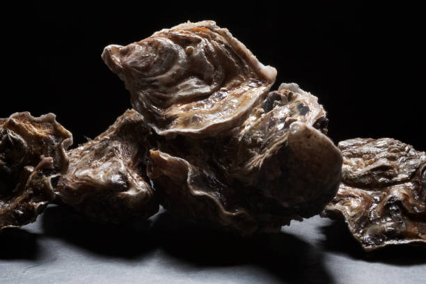 gigas de crassostrea (ostras pacíficas) em uma pedra da ardósia - crassostrea - fotografias e filmes do acervo