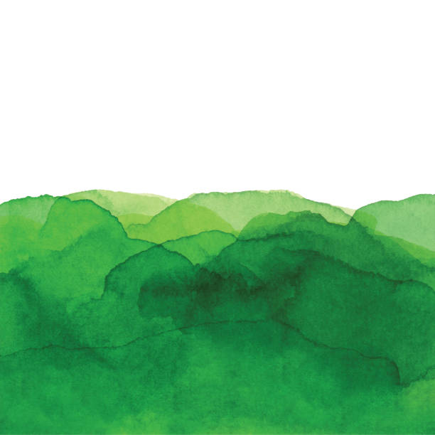 Watercolor Green Waves Background Vector illustration of watercolor background. white background isolated on white vibrant color drawing stock illustrations