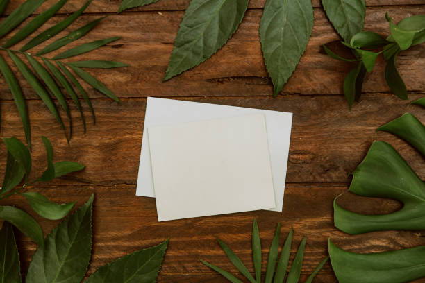 istock Flat Lay Creative Card with  leaves  on wooden background Nature concept 1139014270
