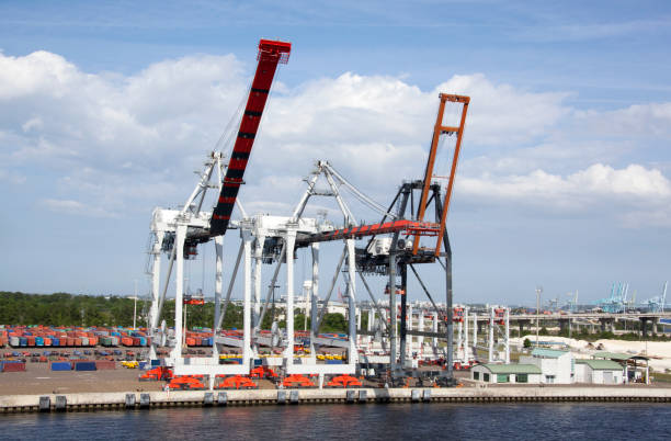 istock Jacksonville City Port Cranes 1139015652