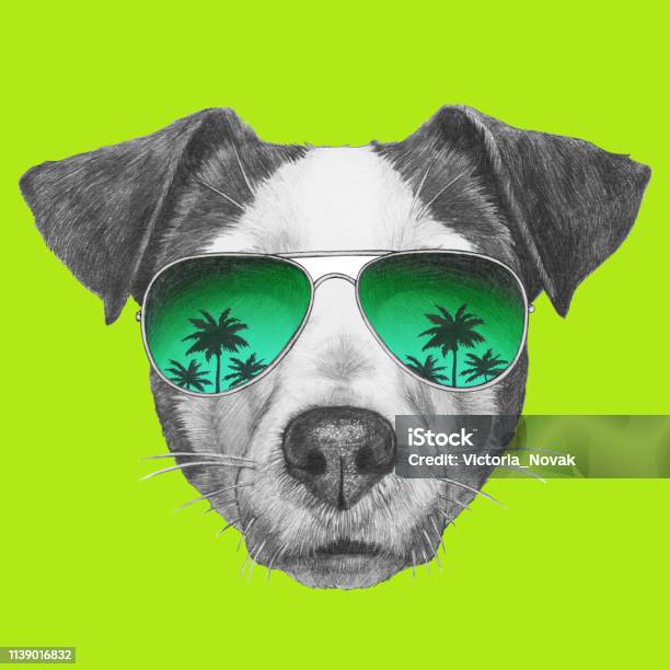 Portrait Of Jack Russell With Sunglasses Handdrawn Illustration Stock Illustration - Download Image Now