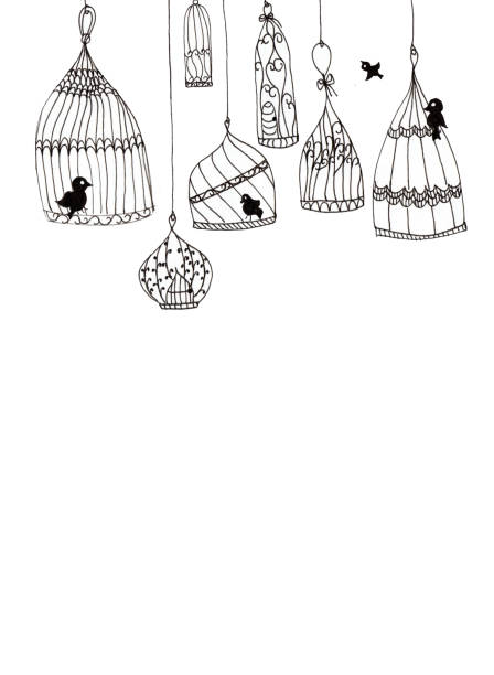 istock Illustration of simple cages with birds on a white background. Black contour lines on a white background. hand drawn 1139024649