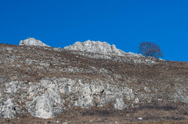 istock Up in the mountains early spring 1139035027