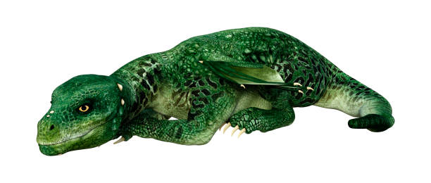 istock 3D illustration green fantasy hatchling dragon on white 1139035995