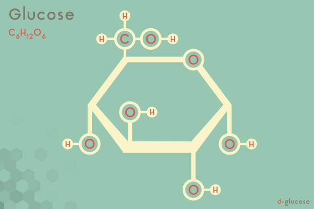 ilustraciones, imágenes clip art, dibujos animados e iconos de stock de infografía de la molécula de glucosa - molecule glucose chemistry biochemistry