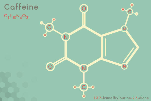 Infographic of the molecule of Caffeine Large and detailed infographic of the molecule of Caffeine. caffeine molecule stock illustrations